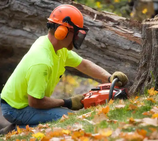 tree services Bayou Goula